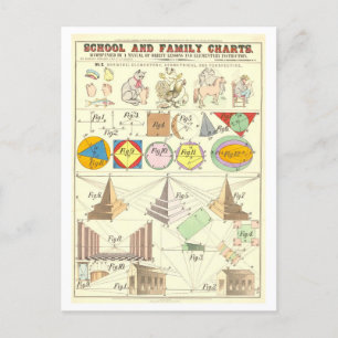 Bildungstabelle für drei Zeichnend Arten Postkarte