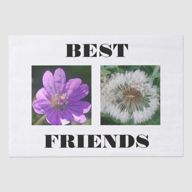 Bildvorlage für die besten Freunde Seidenpapier (Vorderseite)