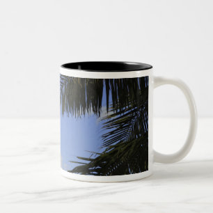 Bill Baggs Cape Florida Lighthouse, Bill Baggs 2 Zweifarbige Tasse