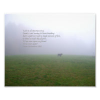 Bill In the Fog, eine Ode an verstorbene Freunde v