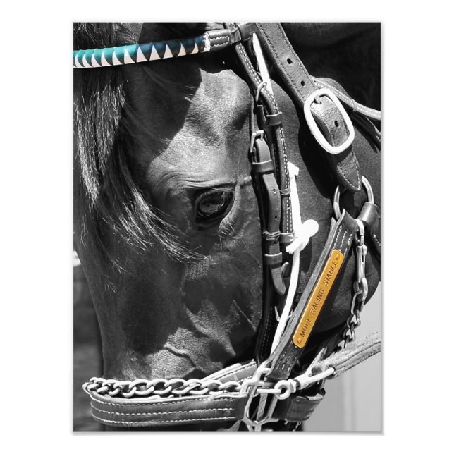 Bill Mott Racing Stables Fotodruck (Vorne)