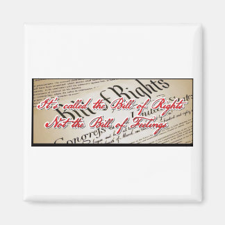 Bill of Rights Magnet