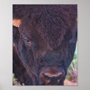Bill-Portrait Poster