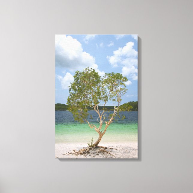 BILLABONG TREE 16x24 Leinwanddruck (Vorderseite)