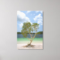 BILLABONG TREE 24 x 36