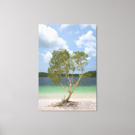 BILLABONG TREE 32x48 Leinwanddruck