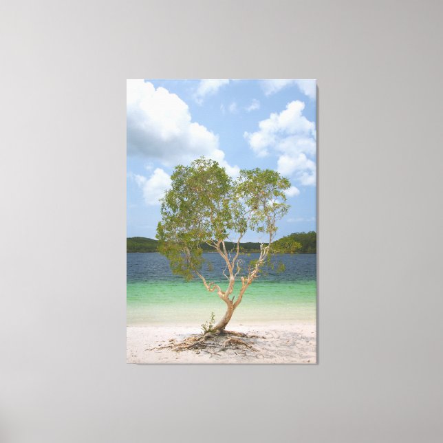 BILLABONG TREE 32x48 Leinwanddruck (Vorderseite)