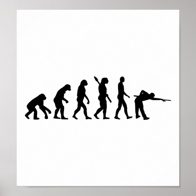 Billard Evolution Pool Poster (Vorne)