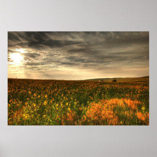 Bills Blume Poster