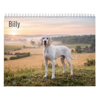 Billy 2027 Wandkalender