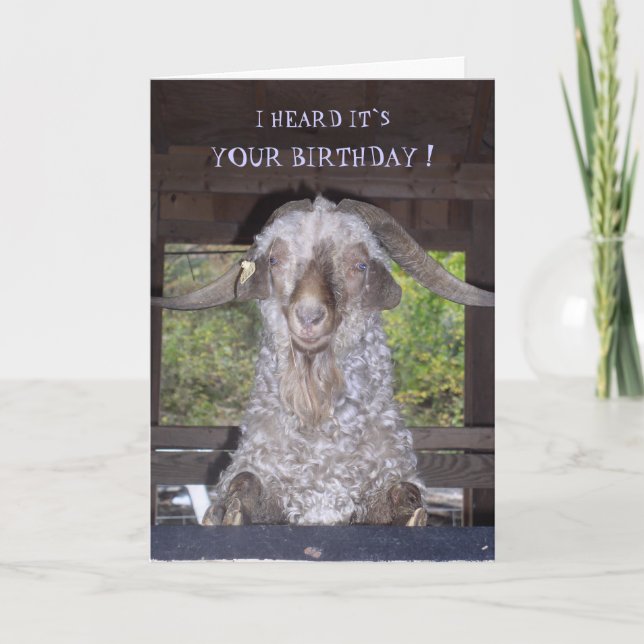 BILLY GOAT BIRTHDAY CARD KARTE (Vorderseite)