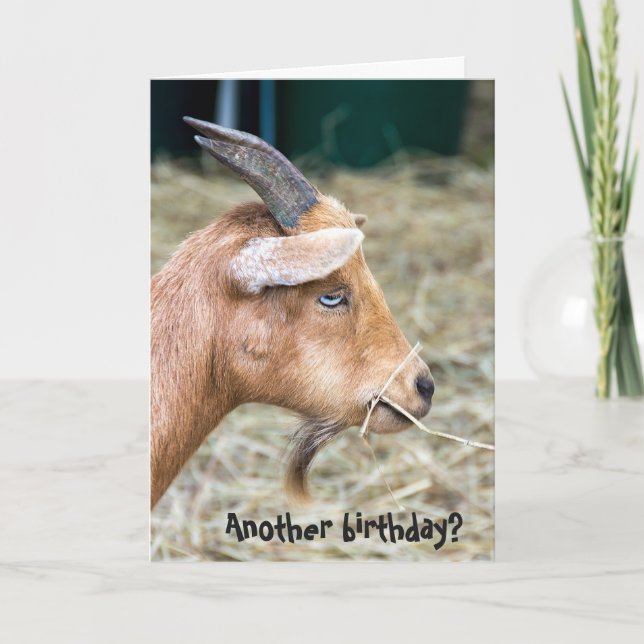 Billy Goat Birthday Karte (Vorderseite)