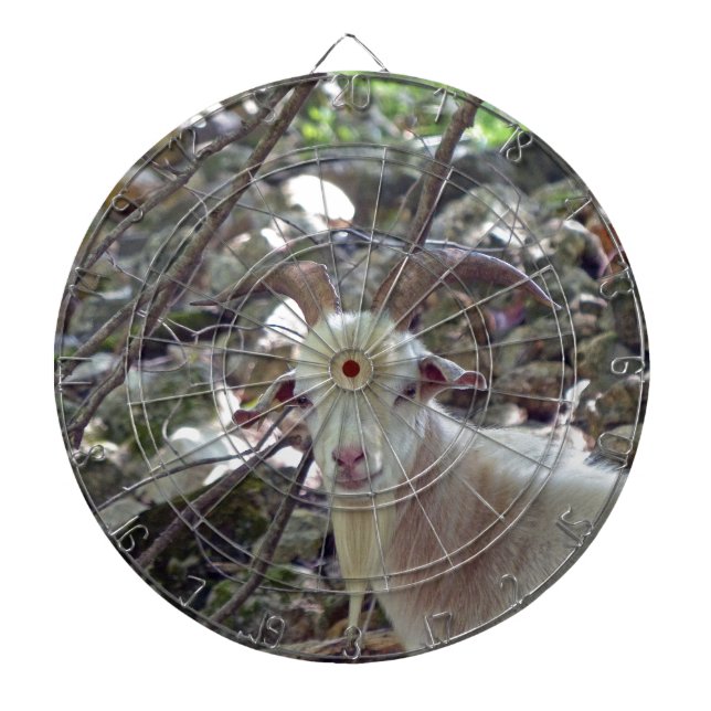 Billy Goat Dartscheibe (vorne)