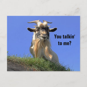 Billy Goat Foto Postkarte