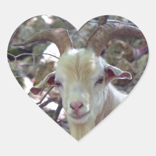 Billy Goat Herz-Aufkleber