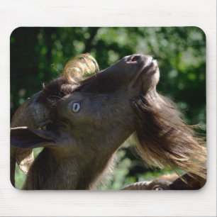 Billy Goat Mousepad