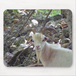 Billy Goat Mousepad