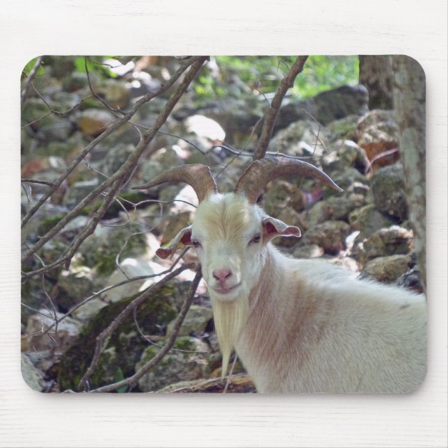Billy Goat Mousepad (Vorne)