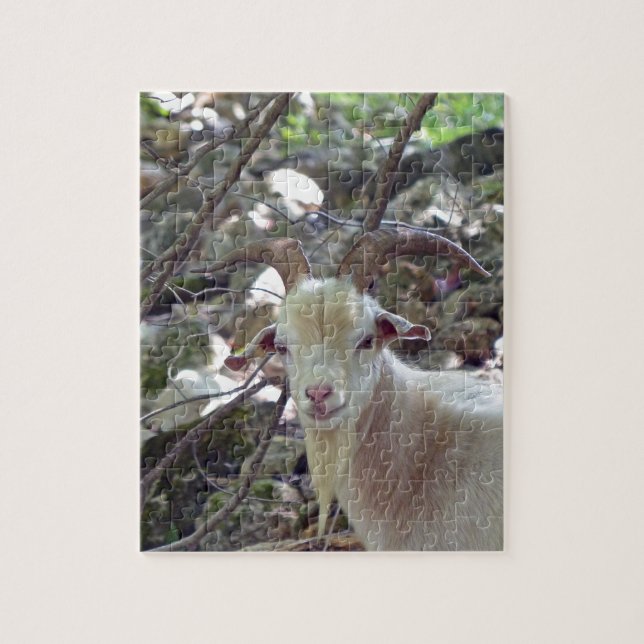 Billy Goat Puzzle (Vertikal)