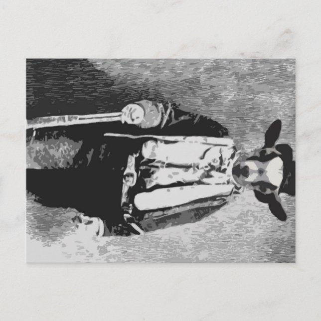 Billy the Kid - Postcard Postkarte (Vorderseite)