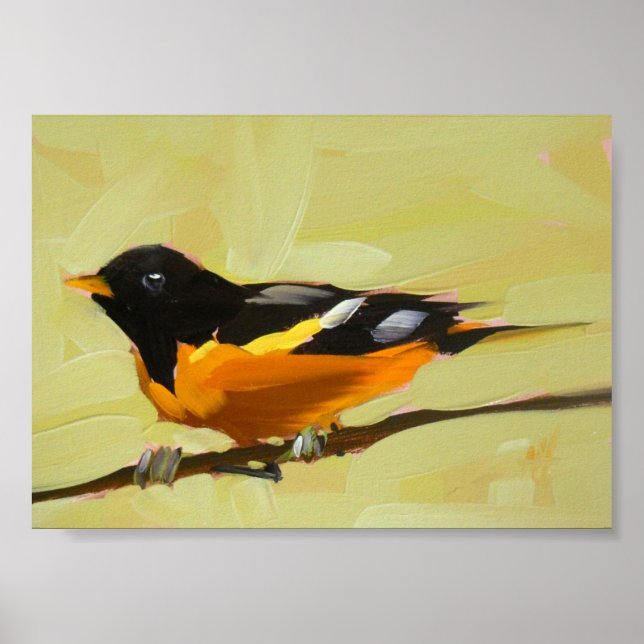 Biltimore oriole druckt 5 x 7 Zoll-Scharfschütze Poster (Vorne)