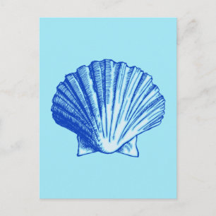 Bimini Muschel Postkarte