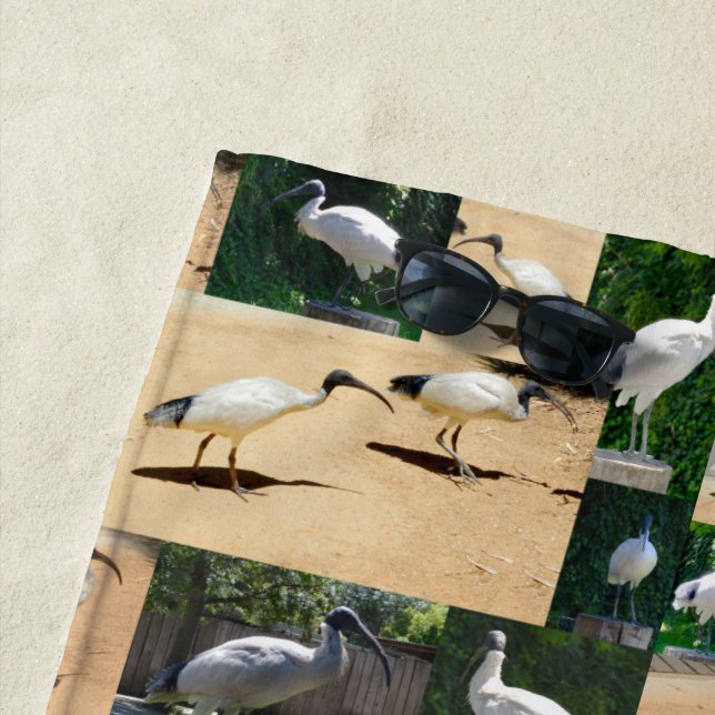 Bin Chicken Chronicles: Ein Ibis-FotoCollage Strandtuch (Beispiel)
