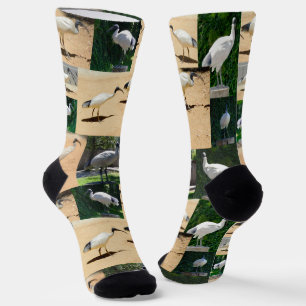 Bin Chicken Foto Collage, Crew Socken