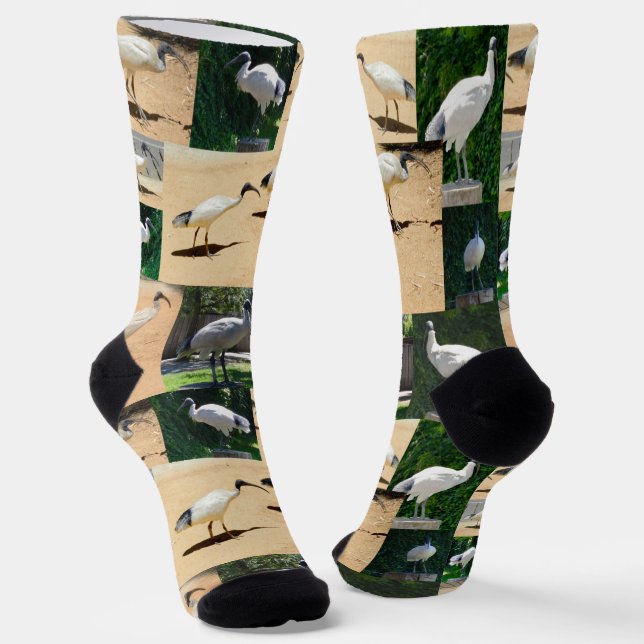 Bin Chicken Foto Collage, Crew Socken (Gewinkelt)