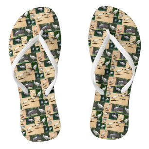 Bin Chicken Foto Collage, Flip Flops