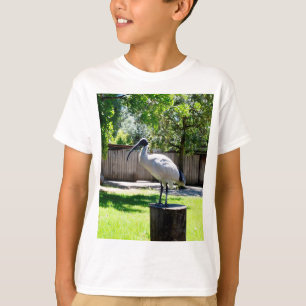 Bin Chicken (ibis) auf einem Baumstumpf, T-Shirt