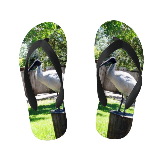 Bin Chicken (iBIS) Kinder Flip Flops (Fußbett)