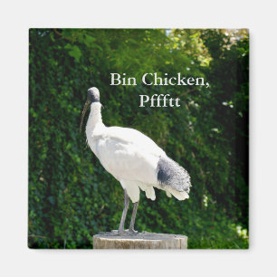 Bin Chicken Pfftt (Ibis) Magnet