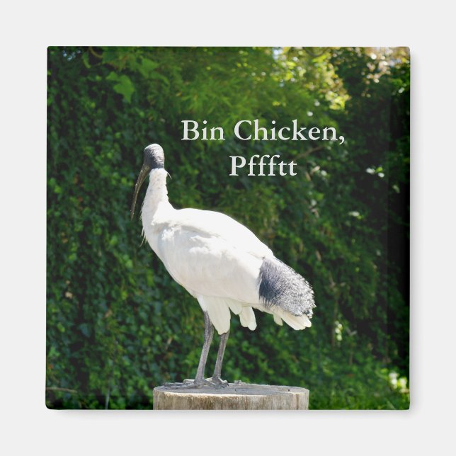 Bin Chicken Pfftt (Ibis) Magnet (Vorne)