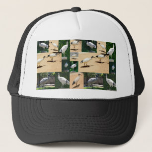 Bin Hühner Chronicles: FotoCollage der Ibis Truckerkappe