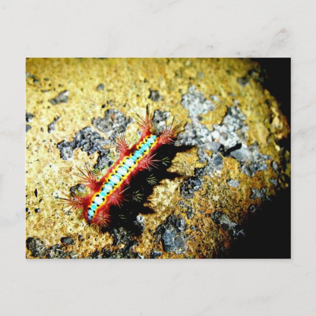 Bin ich anders als du? postkarte (Vorderseite)