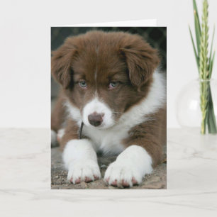 BIN ICH "ERNST" JA BIN ICH AUF DEINEM GEBURTSTAG! KARTE