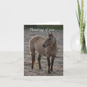 Bin ich nicht Hübsch, an dich zu denken? Karte