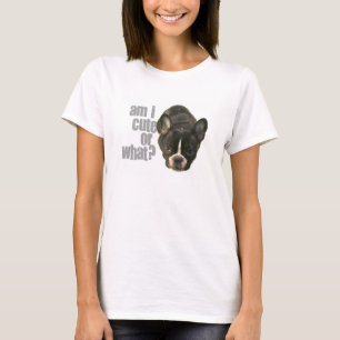 bin ich niedlich, oder was? T-Shirt