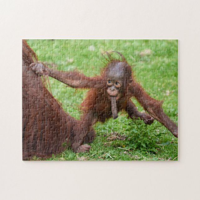 Bin ich süß - Orang-Utan-Baby mit Mutter Puzzle (Horizontal)