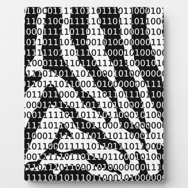 Binary-Code für Schwarz und Weiß Fotoplatte (Vorderseite)