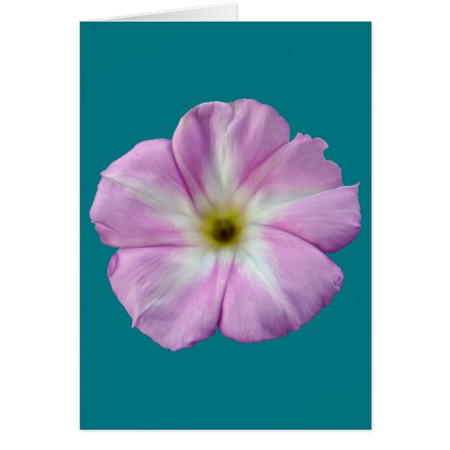 Bindweed #1 (Vorne)