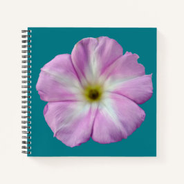 Bindweed #1 notizbuch