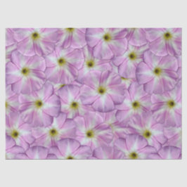 Bindweed Seamless Pattern Seidenpapier