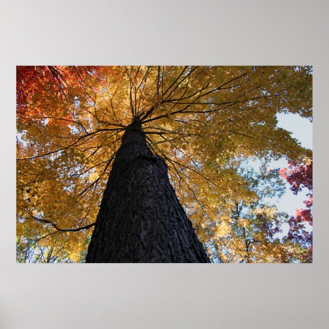 Binghamton Oktober 2008 17 Poster (Vorne)