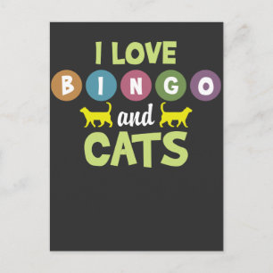 Bingo und Katzen Funny Kitten Tierfreunde Postkarte