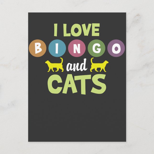 Bingo und Katzen Funny Kitten Tierfreunde Postkarte (Vorderseite)
