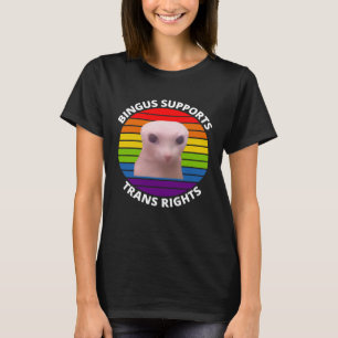 Bingus nennt meine geliebte haarlose Sphinxkatze T-Shirt