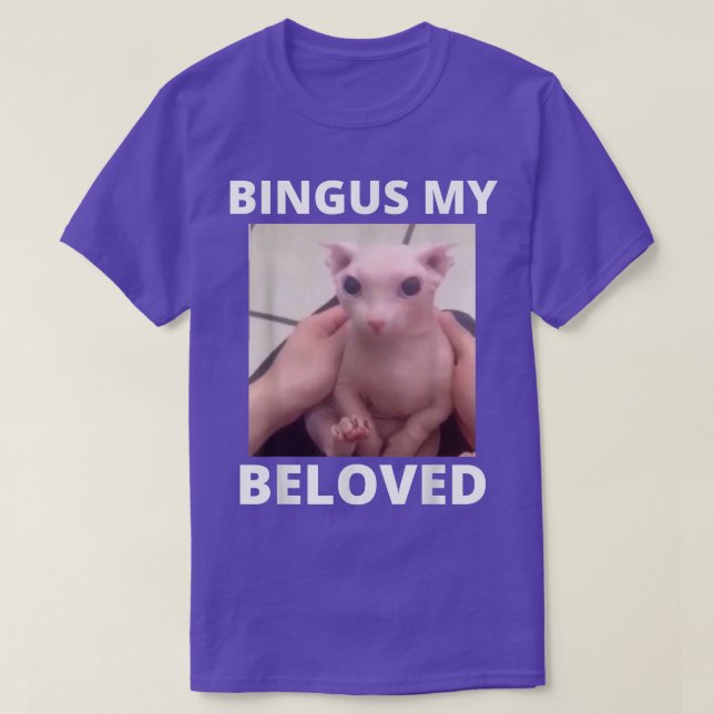 Bingus nennt meinen geliebten haarlosen Sphin Sphy T-Shirt (Design vorne)