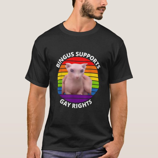 Bingus Supports Gay Rights Hairless Sphinx Bingus  T-Shirt (Vorderseite)